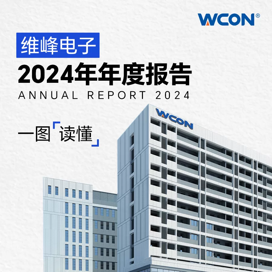 2024年年度报告